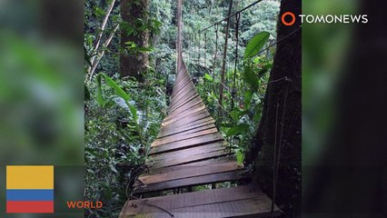 Colapso de ponte na Colômbia mata pelo menos 7, e deixa outros feridos.