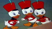 Donald Duck  Chip And Dale Cartoons - Old Classics Disney Cartoons New Compilat