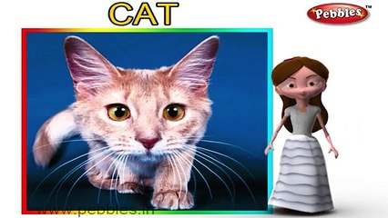 Gato de la Familia Dedo | rima de cuarto de niños Farmees | niños canciones | 3D rimas | canciones para Niños