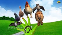 Birds Finger Family Nursery english 3d rhymes | Children Animated finger family song