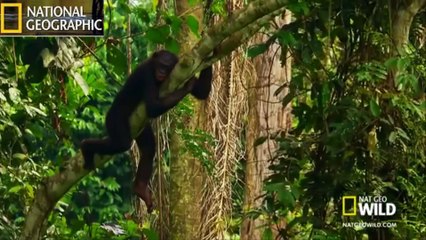 PKKLILARLA DALGA GEÇİYORUZ!!! SALTANAT MT2