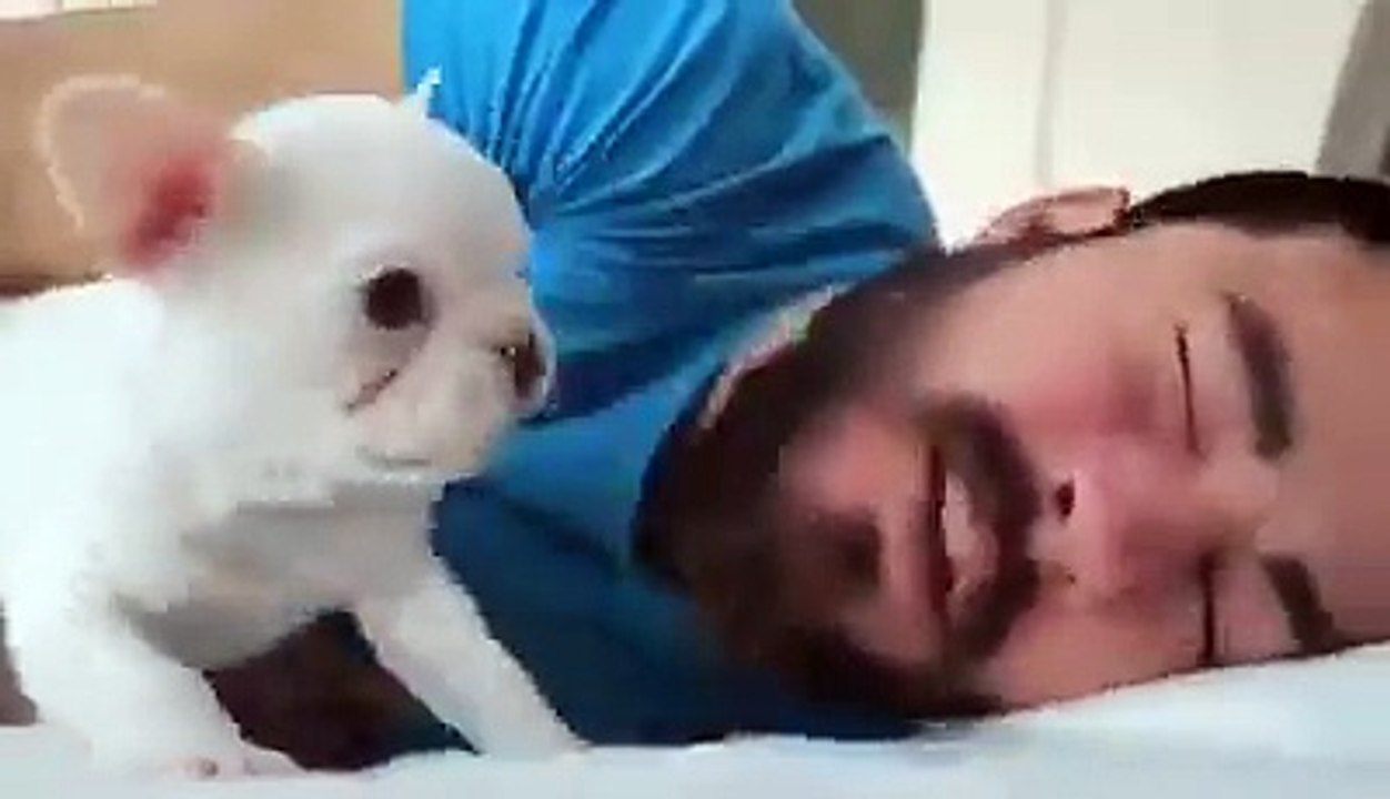 Very cute x 1000