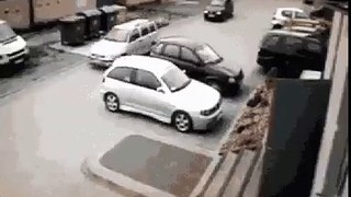 Dumb the insane driver