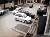 Dumb the insane driver