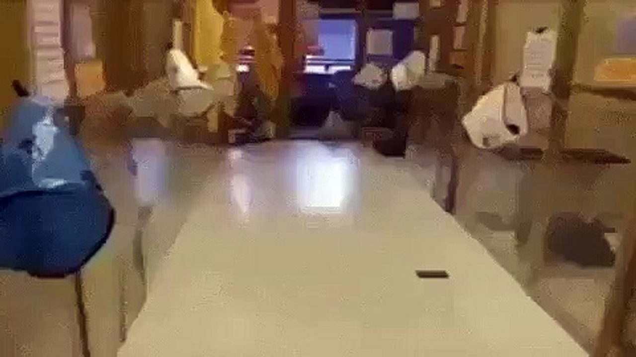 Танцуюший кот
