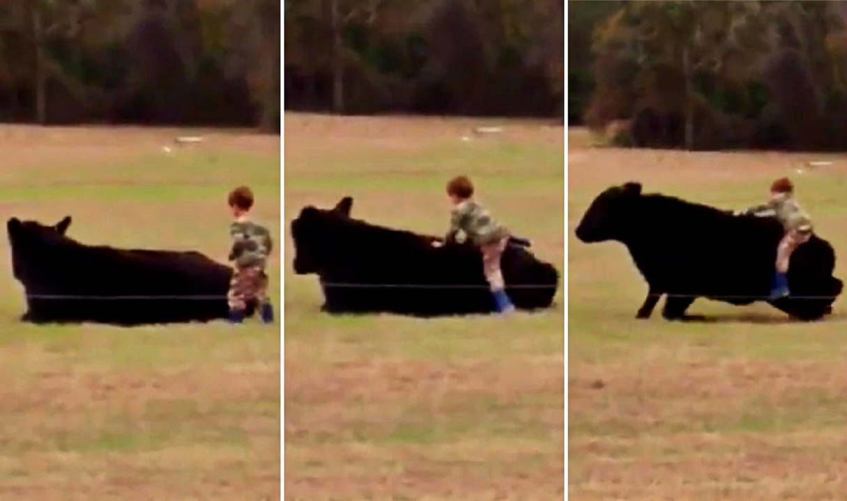 These Parents Should Be Locked Up After This Incident