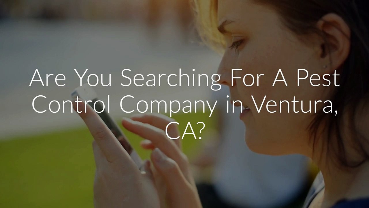 Insight Pest Control Management in Ventura, CA