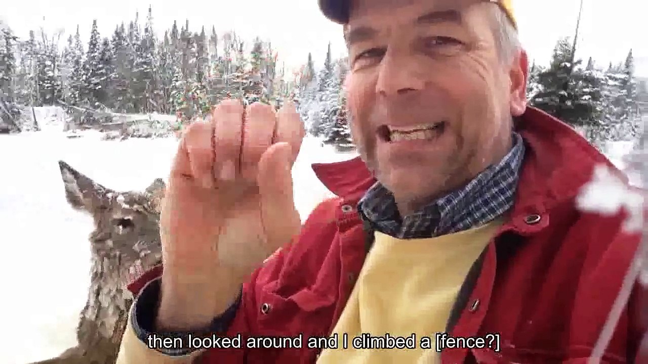 Cet homme sourd fait un acte incroyable, pour sauver une biche dans un lac glacé