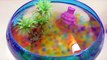 Orbeez Aquarium Water Ball Real Robotic Fish Learn Colors Slime Toy Surprise Eggs YouTube