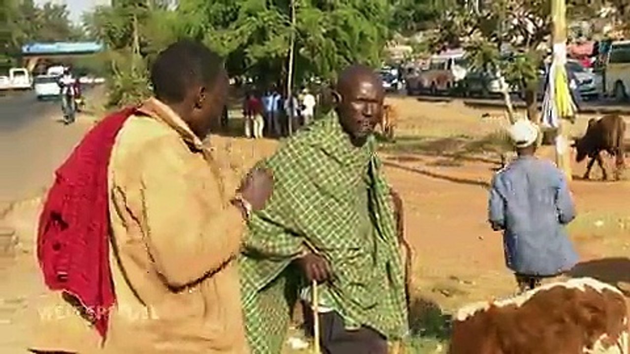 Weltspiegel | Die ganze Sendung von 05. März 2017 | Das Erste