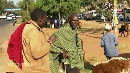 Weltspiegel | Die ganze Sendung von 05. März 2017 | Das Erste