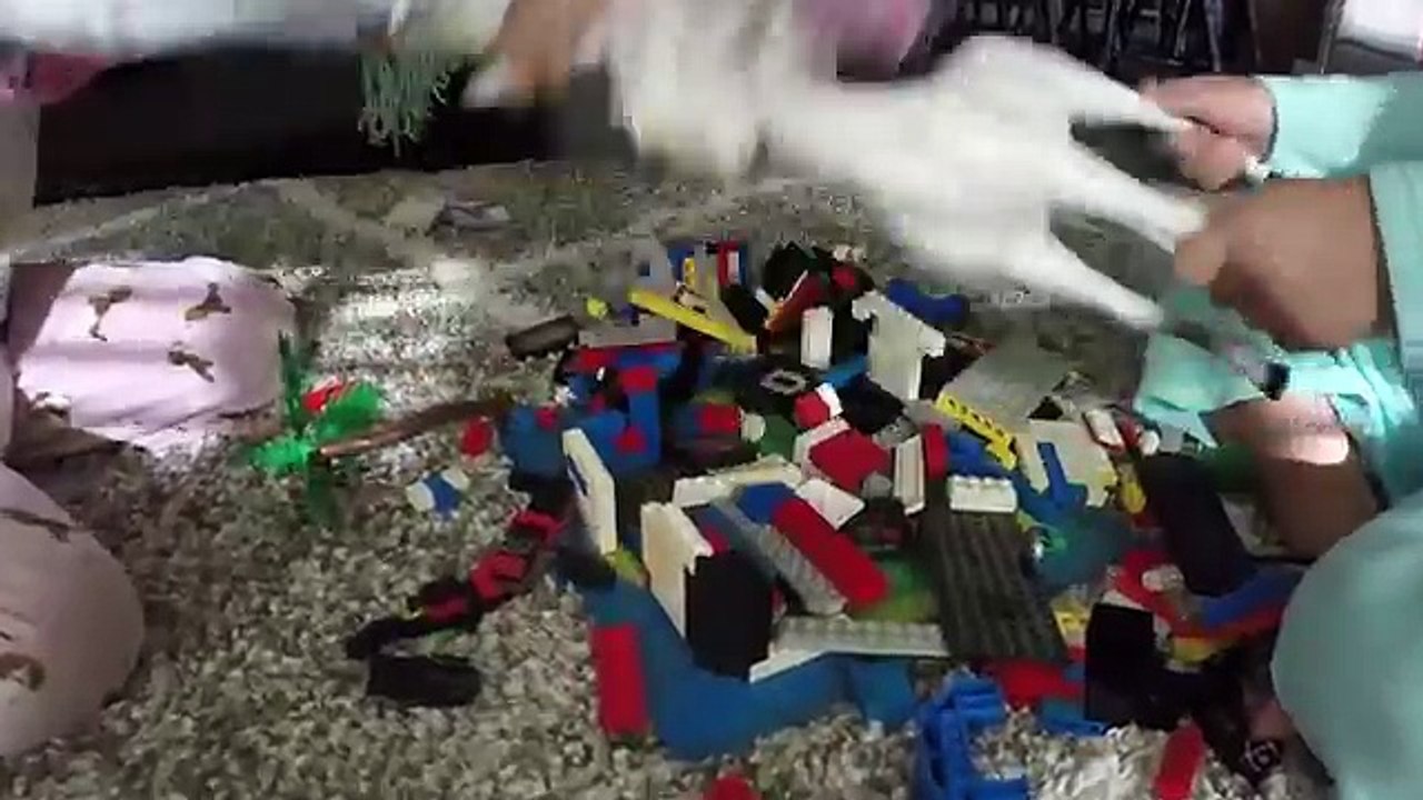 Bad Baby Twins - Real Life Poop Diaper & Food Fight, Whip Cream Pie | Kate and Lilly vs Ba