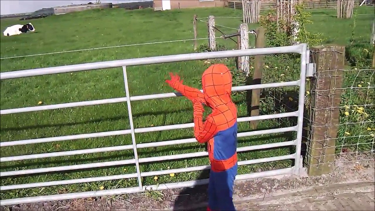 Old MacDonald had a Farm & Spiderman
