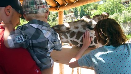 Kids and wild animals At The Zoo_ types of animals Compilation