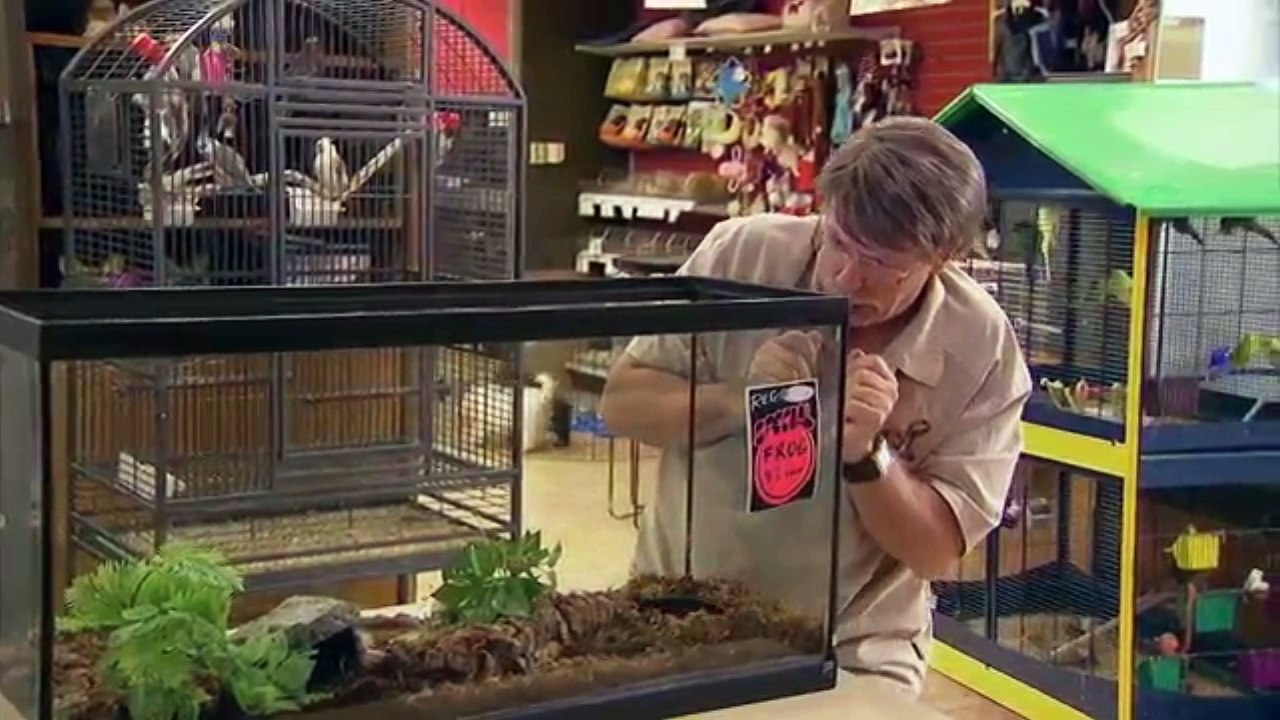 Ce Qui Surgit De L'Aquarium Est... INFECT !!!