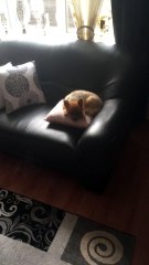 goedemorgen lieve fb vrienden een hele mooie nieuwe week 