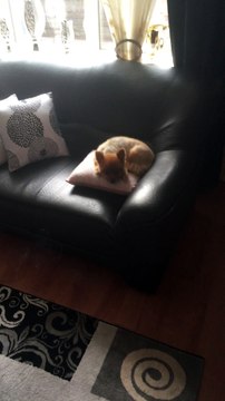 goedemorgen lieve fb vrienden een hele mooie nieuwe week