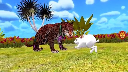 Giant Python vs Tiger - Animals Finger Family Rhymes for Children - Anaconda vs Jaguar Fin