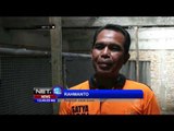Budidaya Jalak Suren di Kampung Jalak, Klaten - NET12