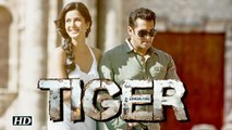 “Tiger Zinda Hai” will be shot in sub-zero locations