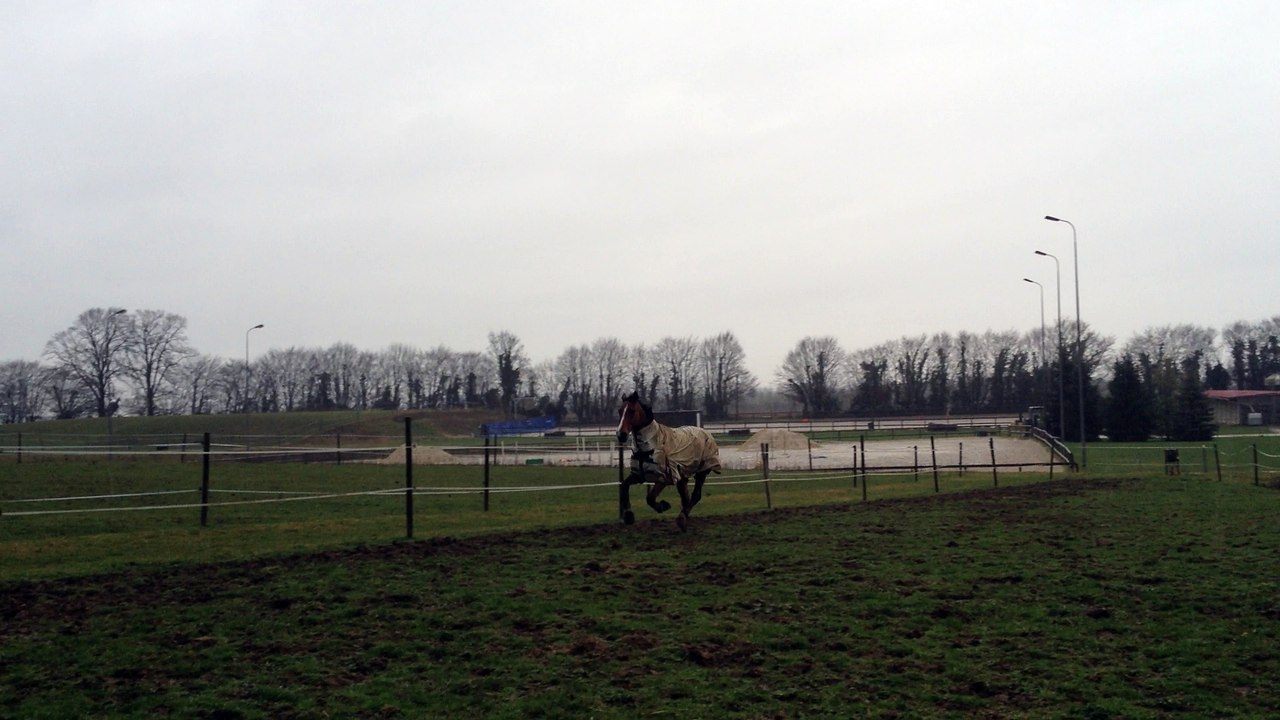 17-03-04 - Liberté 3