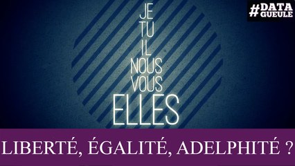 Inégalité des sexes : « Liberté, Égalité, Adelphité » #DATAGUEULE 71
