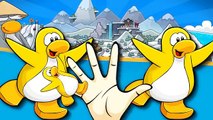 Finger Family Rhymes For Children Club Penguins Songs Cartoons | Finger Family Nursery Rhymes
