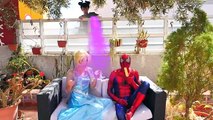 Congelado Bebé Elsa y Anna de Spiderman de la Guardería w Spiderbaby y Dulces Sueños Superhéroe de la Diversión