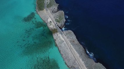 Saison 1 #2 - Harmonie parfaite des bleus de l’Atlantique - Bahamazing Experience