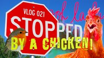 Vlog 021 - Stopped by a Chicken!