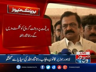 Rana Sanaullah talks to media