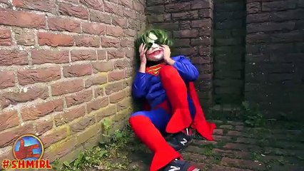 Spiderman in Real Life Shepherd Cow Sheep Funny Superhero Movie Car Driving Spider-man Car