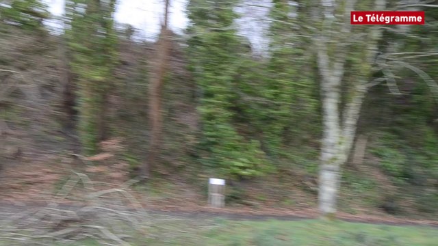 Tempête Zeus. Le Relecq-Kerhuon : on évacue les arbres au bord de la voie ferrée