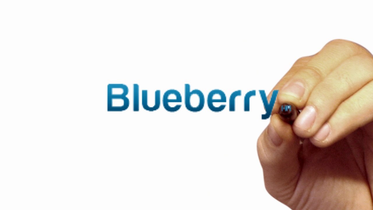 HRMS Software | Human Resource Management Software - Dubai, UAE