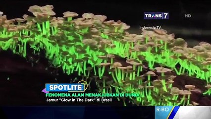 Fenomena Alam Menakjubkan di Dunia [Spotlite]