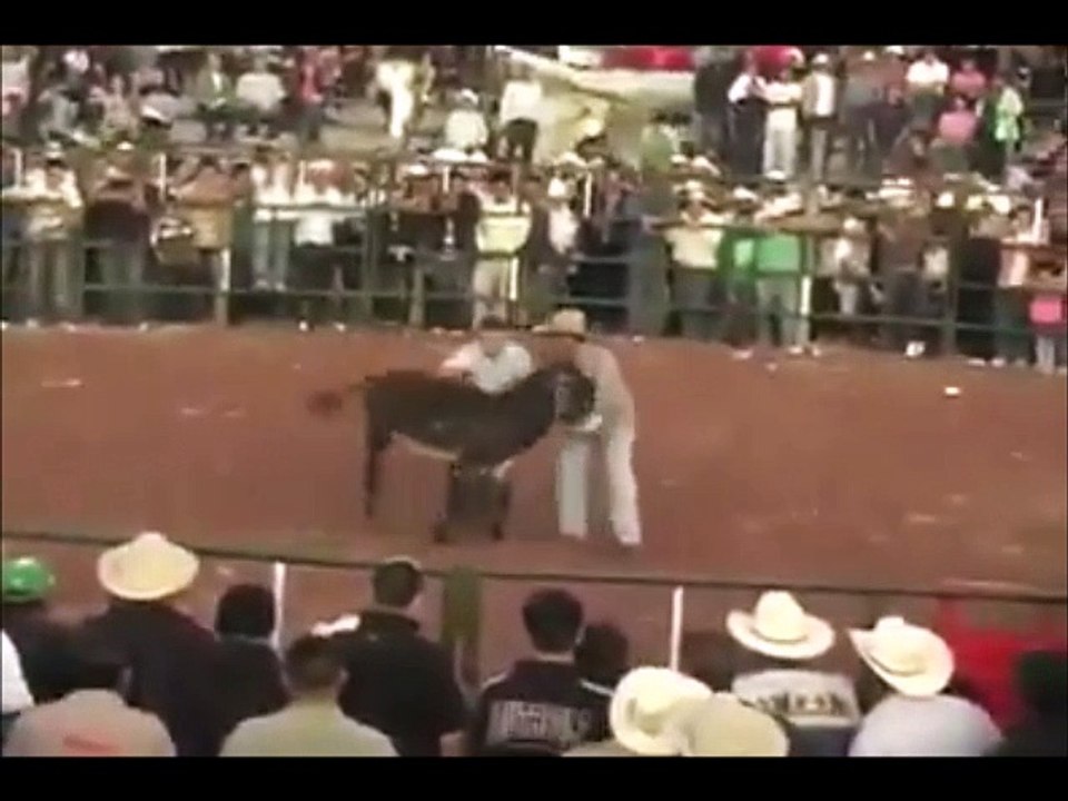 Very Funny Video You Can't Control Your Laugh Watch And Enjoy