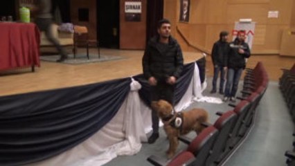 Siirtli Öğrenciler Maden Kazalarını Tiyarto Sahnesine Taşıdı