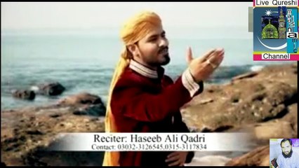 Hai Aya Nabi Lajpal - Haseeb Ali Qadri