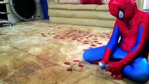 Spiderman vs Congelado Elsa vs Joker Niña de la Lucha de Sumo Divertido de los Superhéroes de Disney Princ