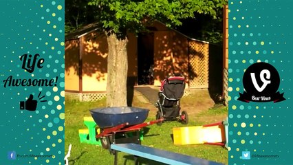 BEST FAILS - FUNNY VINES FAILS COMPILATION 2017 | Life Awesome