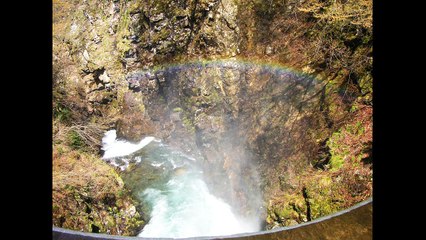 バッハ　２つのヴァイオリンのための協奏曲 ニ短調 BWV1043　第1楽章