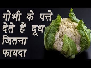 Cauliflower Leaves (गोभी के पत्ते) much healthier than Milk | दूध जितना फायदा | Boldsky