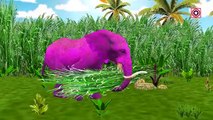Los colores de los Animales Dinosaurios León Elefante Dedo de la Familia Rimas de cuarto de niños | Colores de Canciones para niños