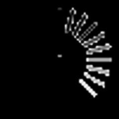 What IS Programming (In Urdu)