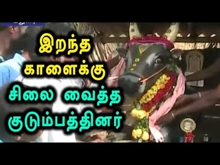 The Family Erected a Statue for the Jallikattu Bull | ஜல்லிக்கட்டு காளைக்கு சிலை - Oneindia Tamil