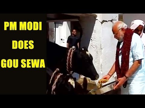 UP Elections 2017 : PM Modi offers prayers at Gadhwaghat Ashram : Watch video | Oneindia News