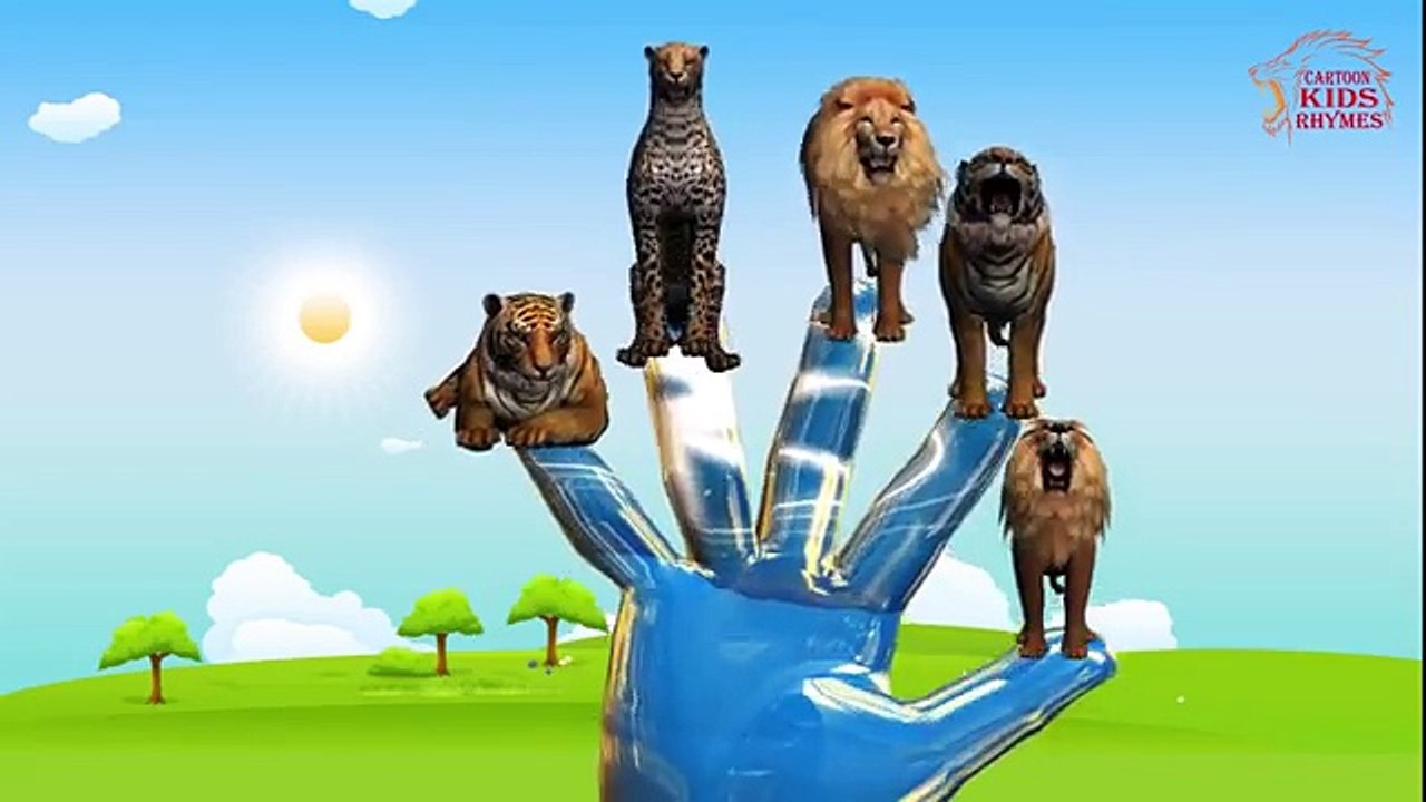 Lion Vs Tiger Finger Family Song | Tiger Vs Lion Fight | Children Nursery Rhymes by PoPo K
