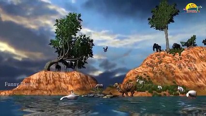 3D Cow Lion Bear Goat Colourful Colours Song Collection Finger Family Nursery Rhymes