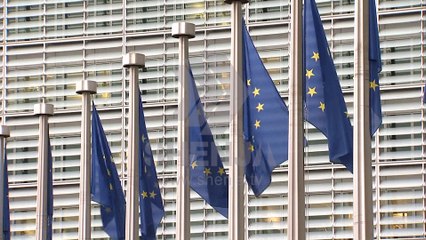 (VIDEO) Kunders: Të respektohet shumica parlamentare