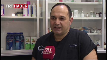 'Umut' kedinin umut dolu hikayesi